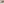         Gradient Shopify theme homepage for a colorful makeup and cosmetics brand with vibrant bold colors, hero banner showcasing makeup products, dynamic gradient design elements, and featured product collections