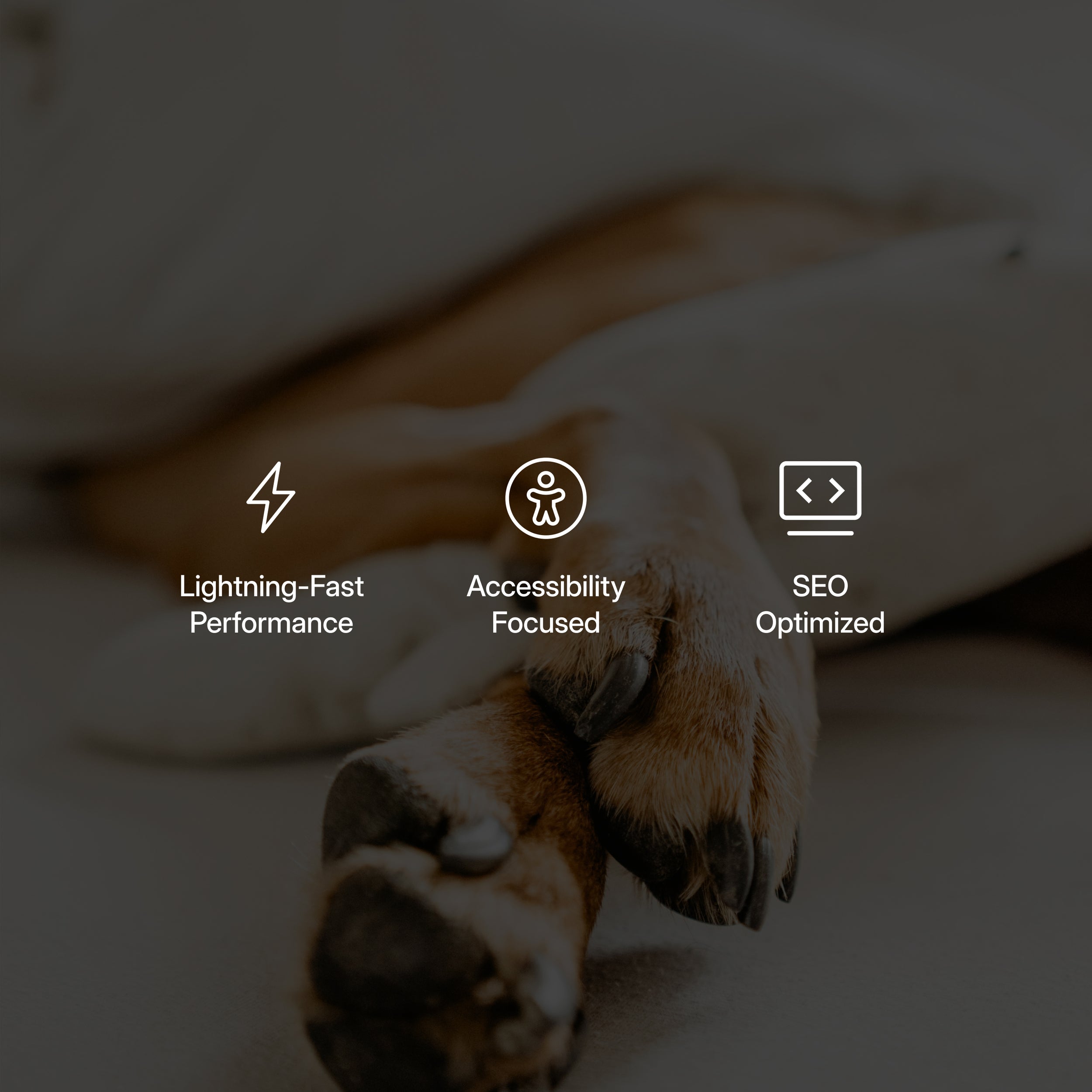 Paw - Pet Supplies Shopify Theme