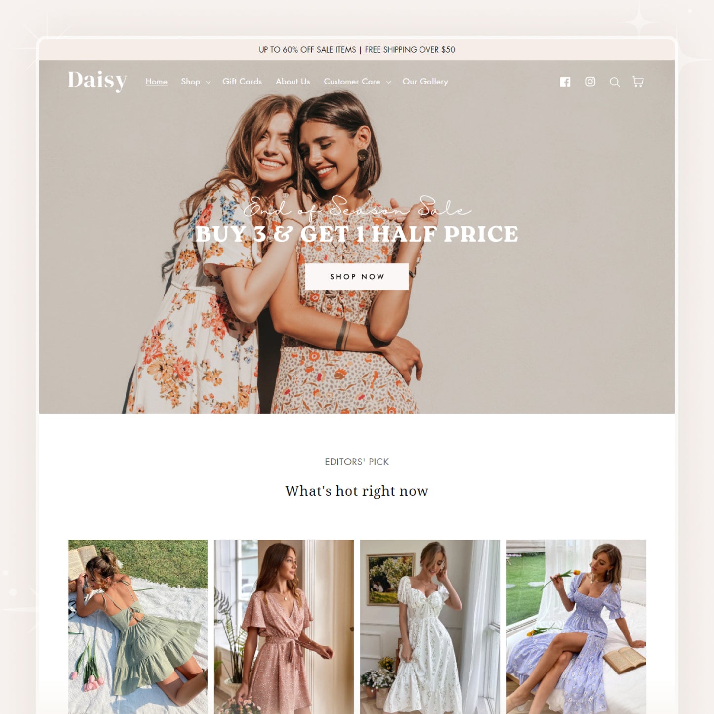 Daisy - Feminine Boutique Shopify Theme